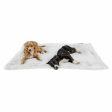 Best Friends by Sheri Blanket Shag For Cheap