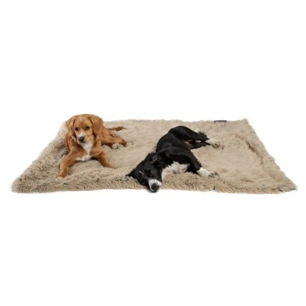 Best Friends by Sheri Blanket Shag For Cheap