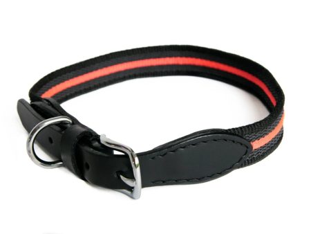 Alvalley Reflective Anti-Slip Dog Collar with Buckle (16 in x 3 4 in) Online