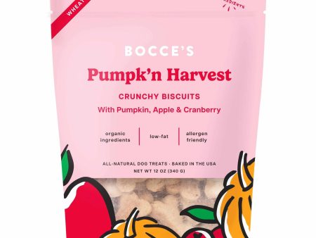 Bocce s Bakery Pumpk n Harvest Small Batch Biscuit Dog Treats 12oz Cheap