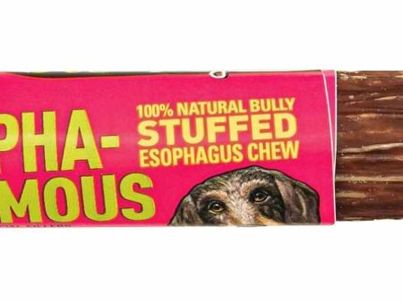 Etta Says! Esopha-normous Bully Stuffed Esophagus Chew 5in 20ct Bag Hot on Sale