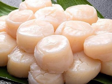 Gloucester, MA U10 Diver Scallops -  Approximately 80 Per Pack Online Hot Sale