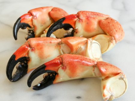 LARGE FLORIDA STONE CRAB CLAWS - 4 5 PIECES - WILL EXCEED 1 LB! Online