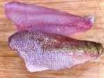 Florida Keys Yellowtail Snapper - Approximately 8-10 oz Online now