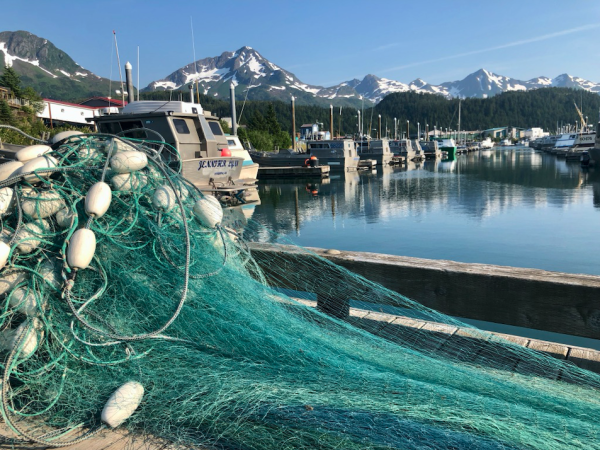 Copper River Coho Salmon Chop Online now