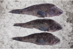 Black Sea Bass,  Whole, Wild Caught,  1 1 2-2 lb Ea. Online now