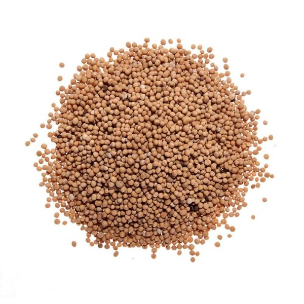 Mustard Seeds, yellow on Sale