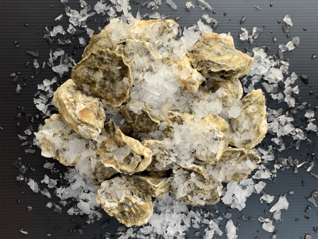 Kumamoto Oysters, Washington - 60 Count Hot on Sale