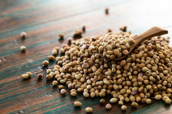 Coriander Seeds For Discount