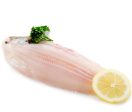 Grey Sole Fillet, Fresh, Wild Caught Discount