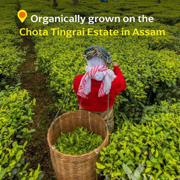 Chota Tingrai Black Tea For Cheap