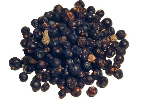 Juniper Berries Fashion