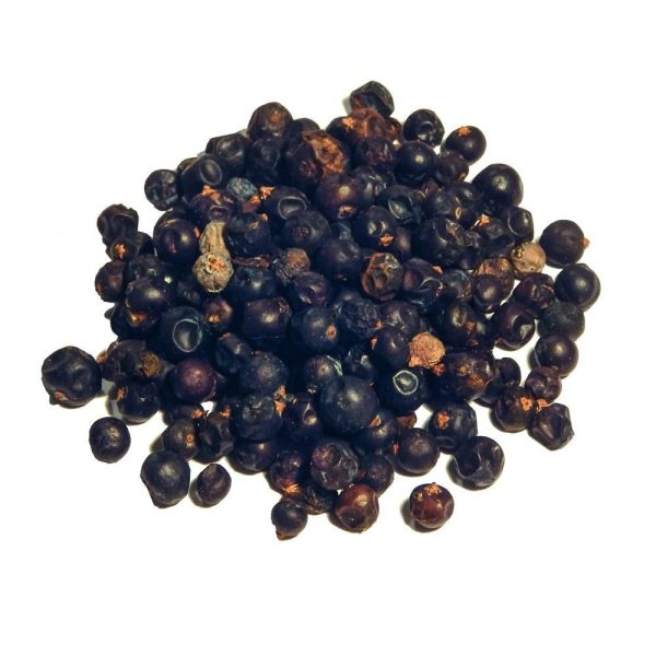 Juniper Berries Fashion