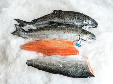 King Salmon, Fillet, Sustainably Farmed, Pacific, Lions Gate Fisheries Discount