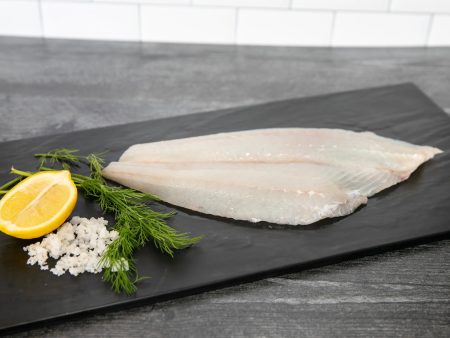 Sushi Fluke, Fillet, Fresh, Wild Caught For Cheap