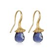 Marigold Twig Drop Earrigns with Iolite Drops Online Sale