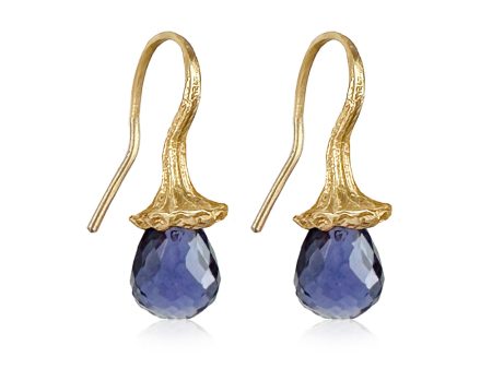 Marigold Twig Drop Earrigns with Iolite Drops Online Sale