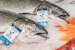 King Salmon, Fillet, Sustainably Farmed, Pacific, Lions Gate Fisheries Discount