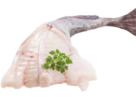 Monkfish Whole, Wild, 2-2 1 2lb Fish Online now