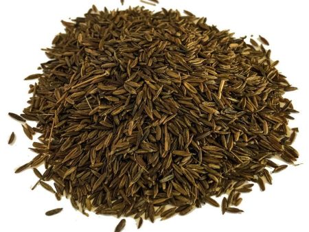 Cumin Seeds Supply