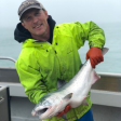 Copper River Coho Salmon Chop Online now