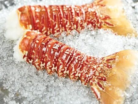 South African Lobster Tail (Large 8-10 oz), Cold Water Lobster Tails Online