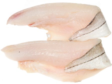 New England Haddock Fillet, Wild Caught, Fresh For Discount