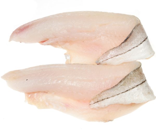 New England Haddock Fillet, Wild Caught, Fresh For Discount