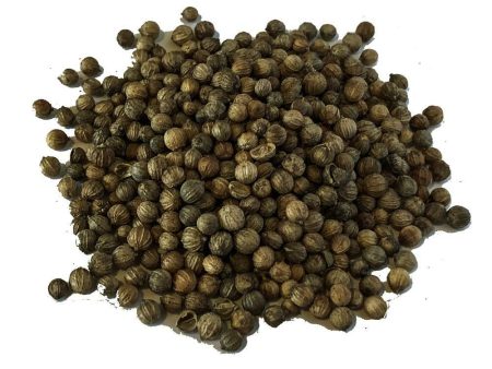 Coriander Seeds For Discount