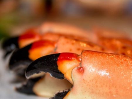 JUMBO FLORIDA STONE CRAB CLAWS - 3 PIECES - WILL EXCEED 1 LB! on Sale