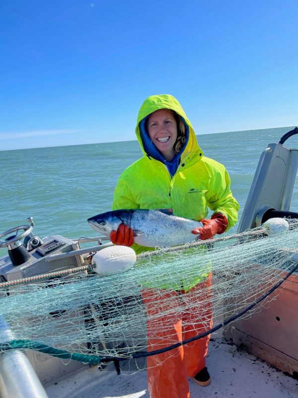 Seasonal Variety Chop (salmon only) on Sale