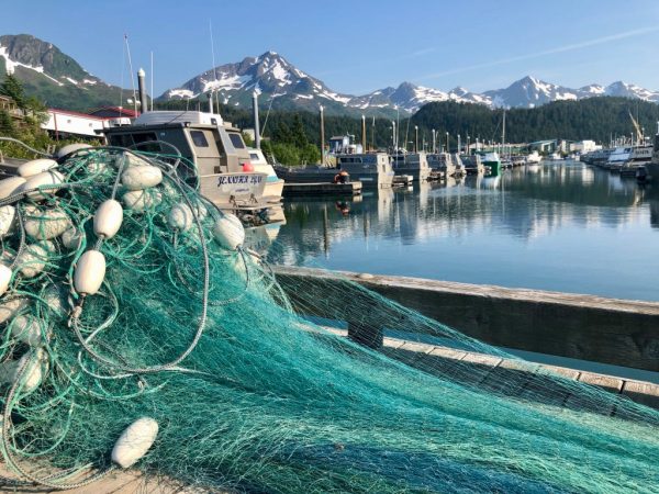 Seasonal Variety Chop (salmon only) on Sale